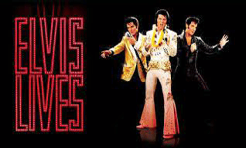 Jeu de Machine à Sous Elvis Lives